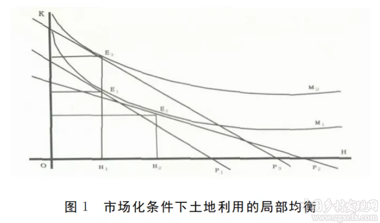 黨國英:農用地交易價格應由市場決定(圖1)